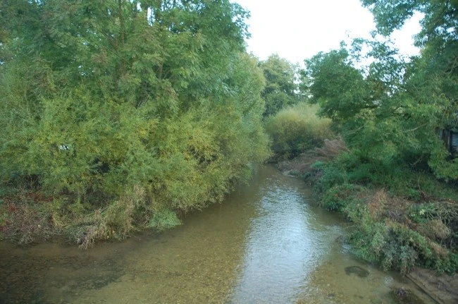 DSC_6153.JPG?type=w2