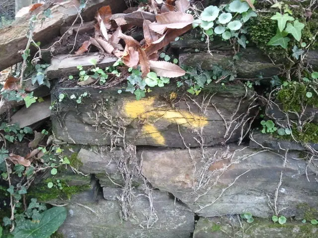 2012-11-15_09.47.41.jpg?type=w2