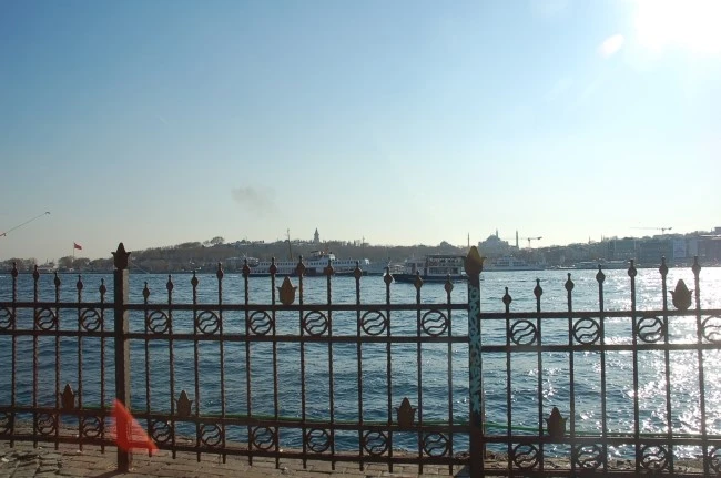 DSC_7386.JPG?type=w2