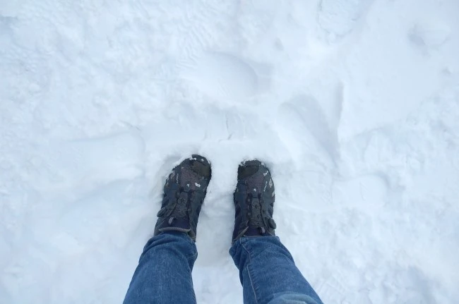 DSC_5917.JPG?type=w2