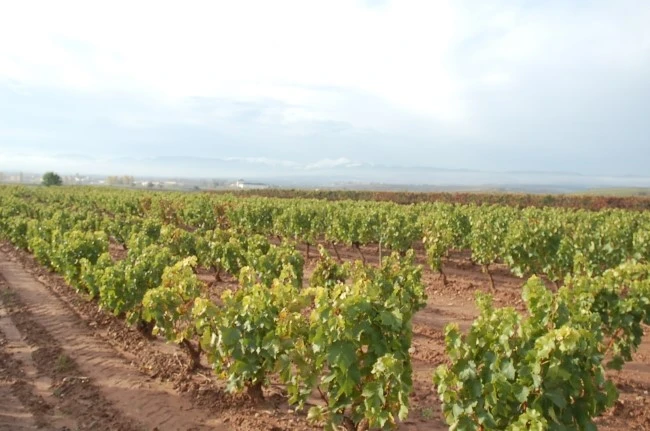 DSC_6236.JPG?type=w2