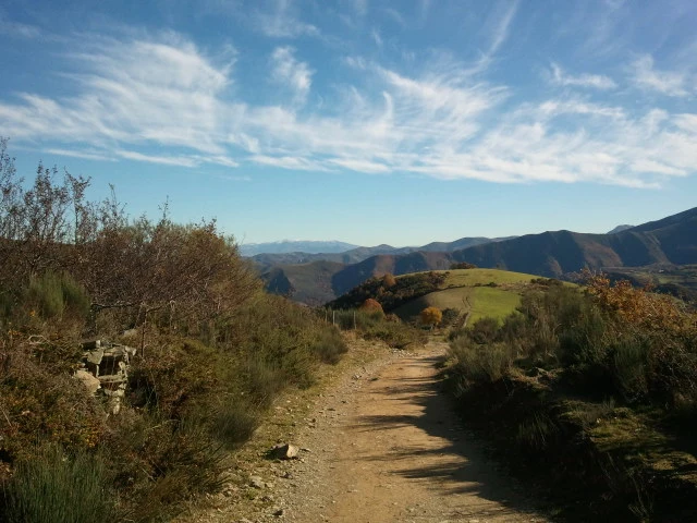 2012-11-13_15.07.42.jpg?type=w2