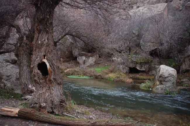 DSC_7192.JPG?type=w2