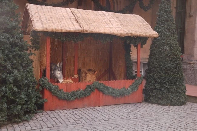 DSC_7359.JPG?type=w2