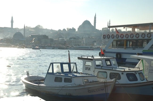 DSC_7394.JPG?type=w2