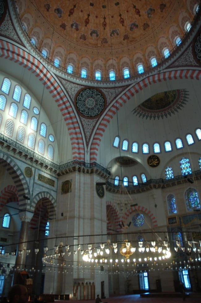 DSC_7049.JPG?type=w2