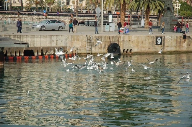 DSC_6532.JPG?type=w2