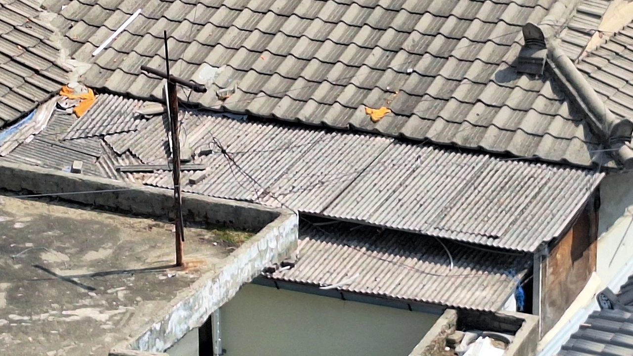 KakaoTalk_Photo_2025-04-11-12-04-12 015.jpeg