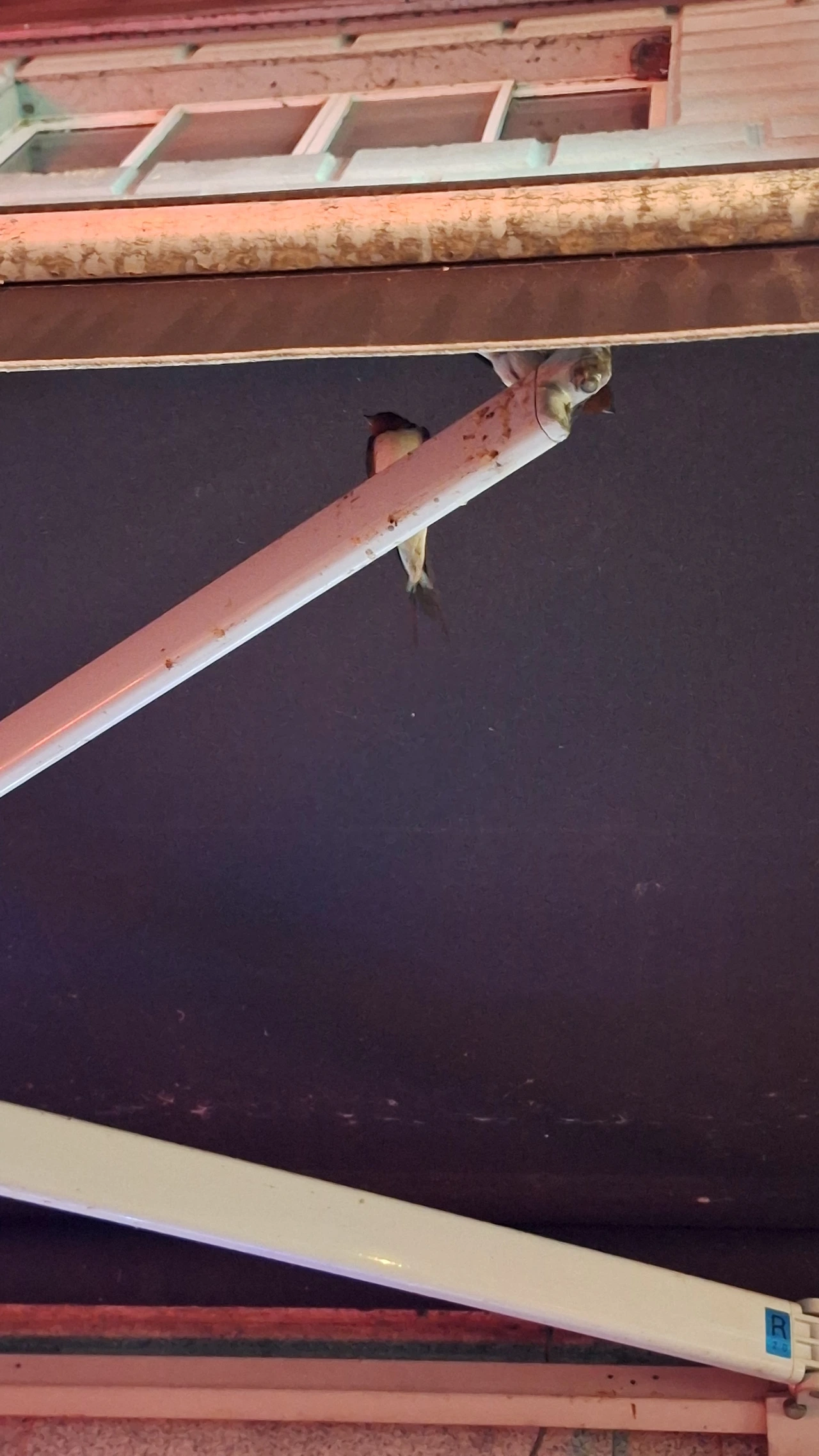 KakaoTalk_Photo_2025-04-11-12-06-17 005.jpeg