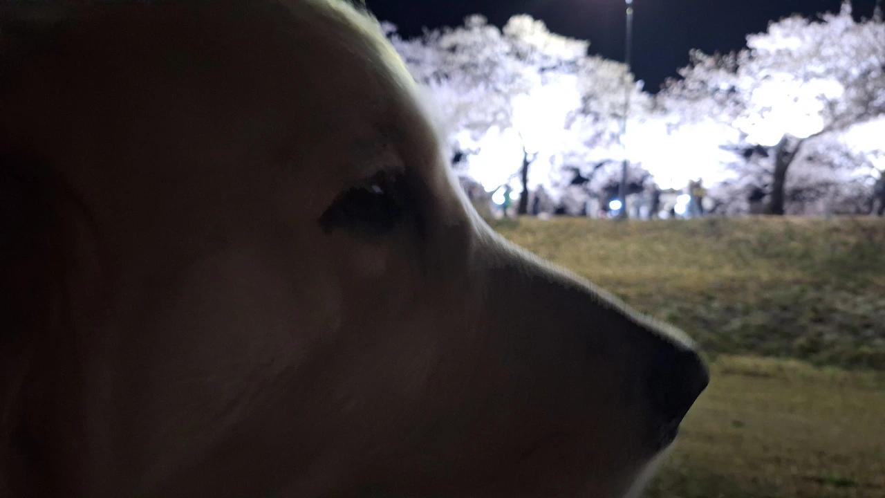 KakaoTalk_Photo_2025-04-14-03-01-18 001.jpeg