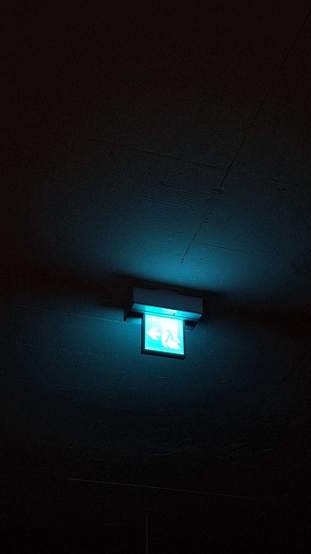 KakaoTalk_Photo_2025-04-11-12-07-12 018.jpeg