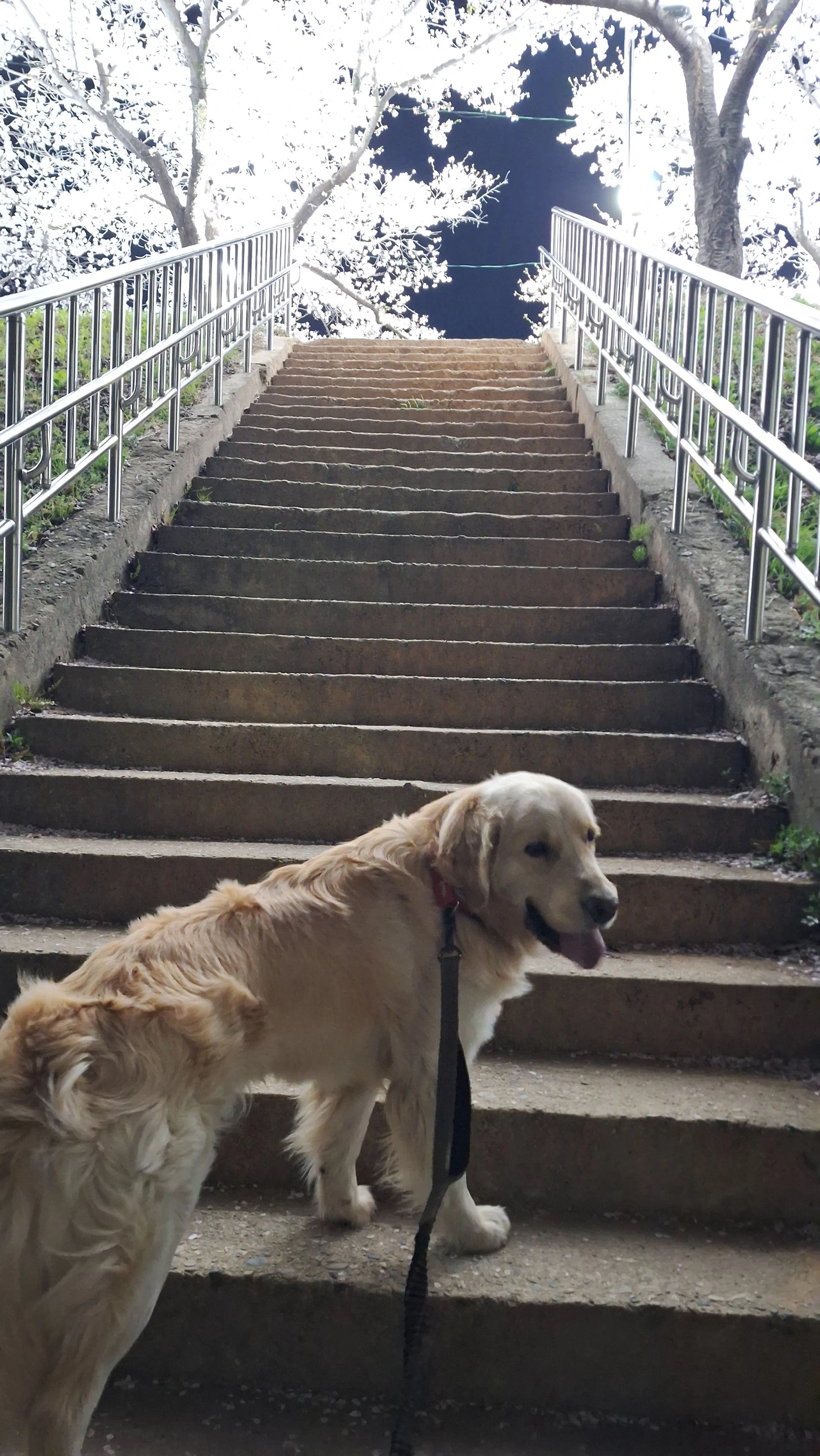 KakaoTalk_Photo_2025-04-14-03-01-21 003.jpeg