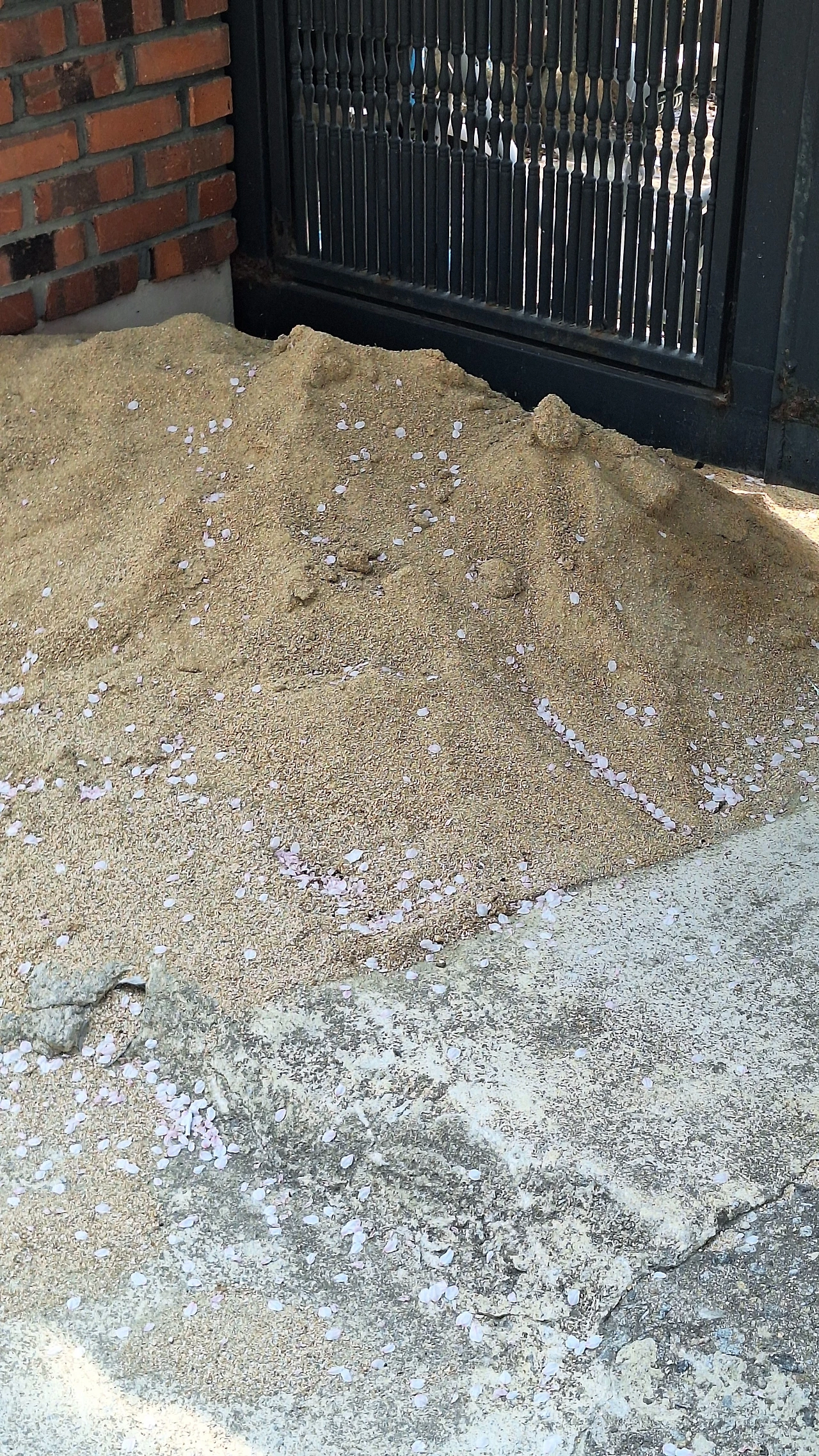 KakaoTalk_Photo_2025-04-11-12-06-21 024.jpeg