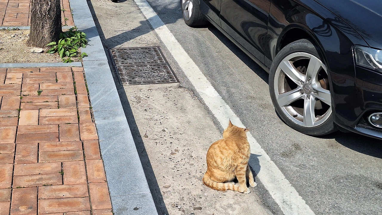 KakaoTalk_Photo_2025-04-11-12-04-13 020.jpeg