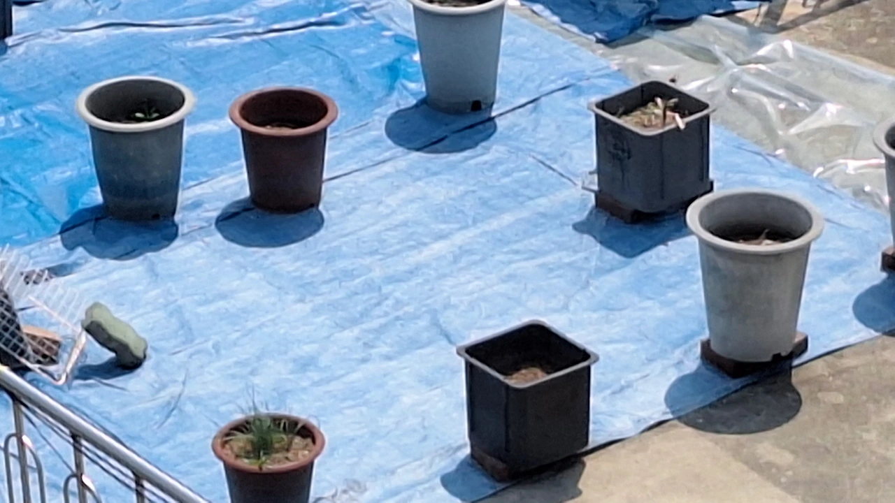 KakaoTalk_Photo_2025-04-11-12-04-12 014.jpeg