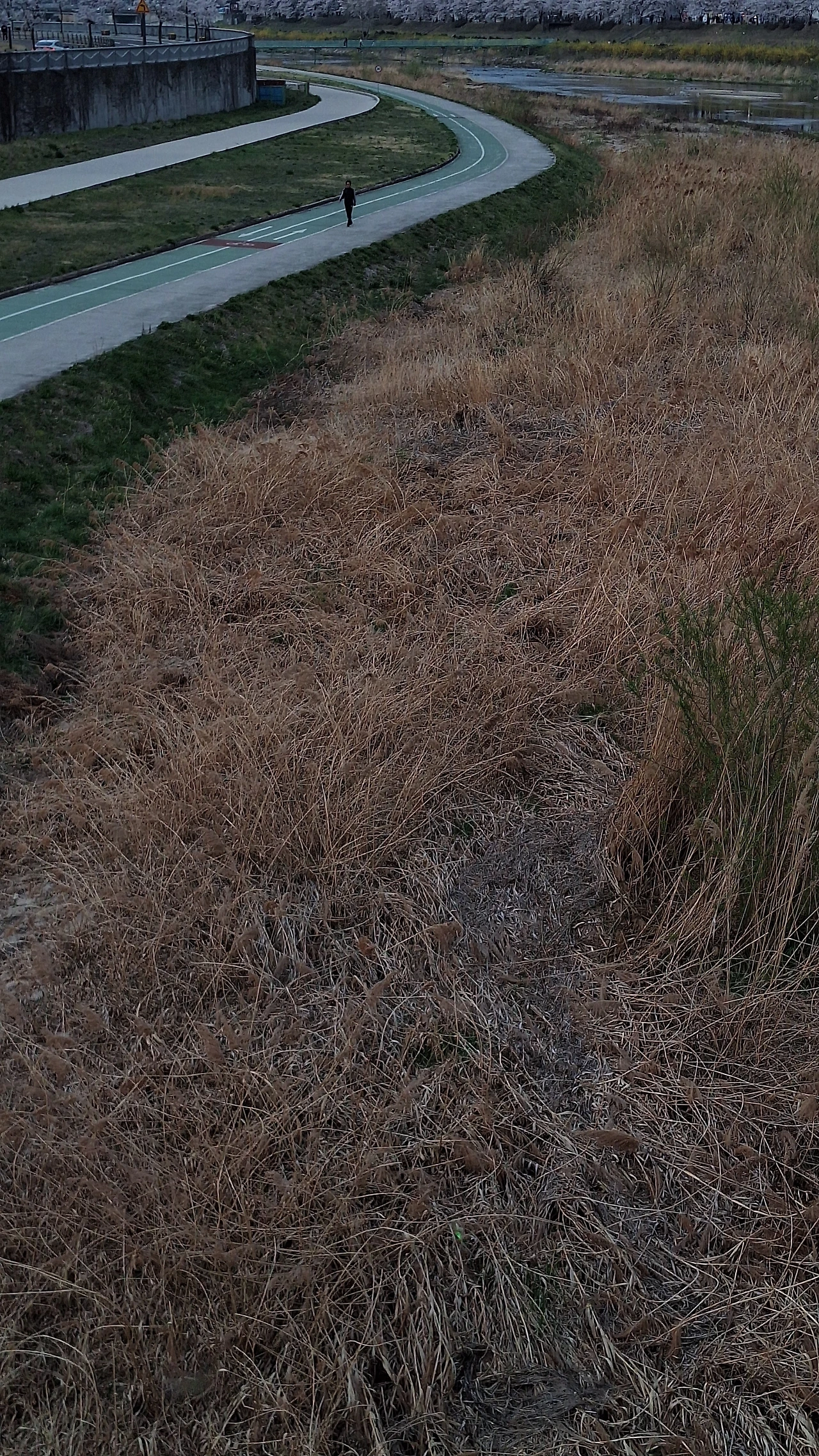 KakaoTalk_Photo_2025-04-11-12-04-39 019.jpeg