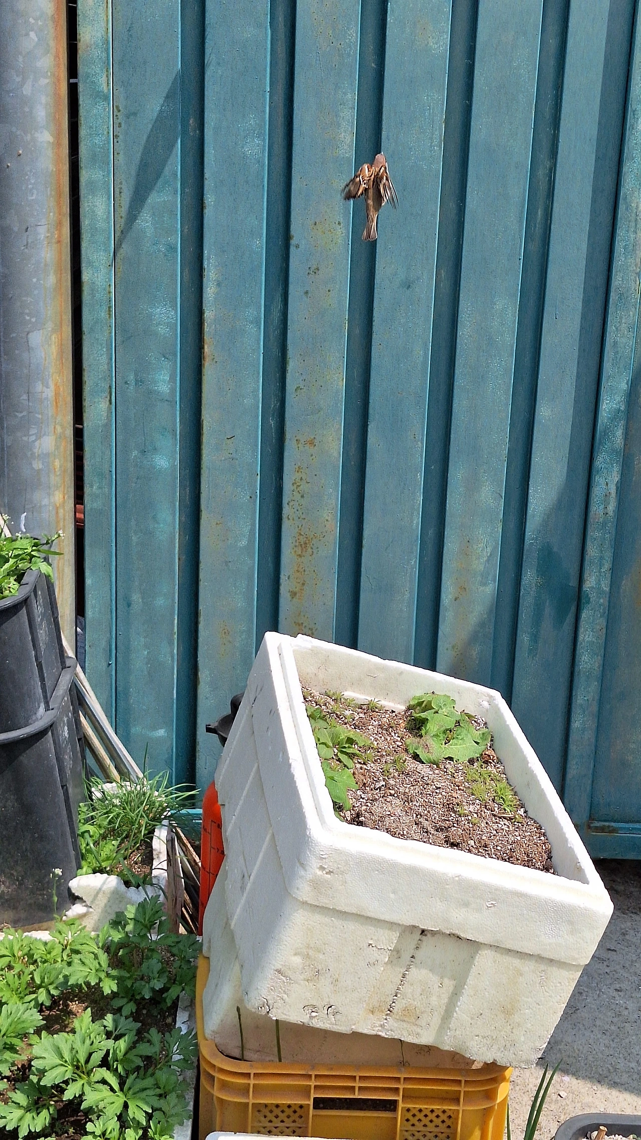 KakaoTalk_Photo_2025-04-11-12-06-22 026.jpeg