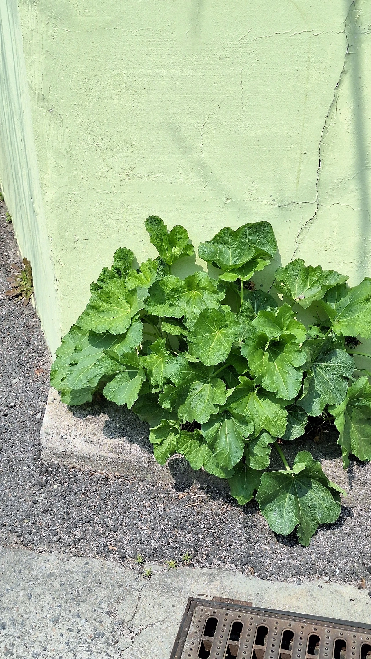 KakaoTalk_Photo_2025-04-11-12-06-22 028.jpeg