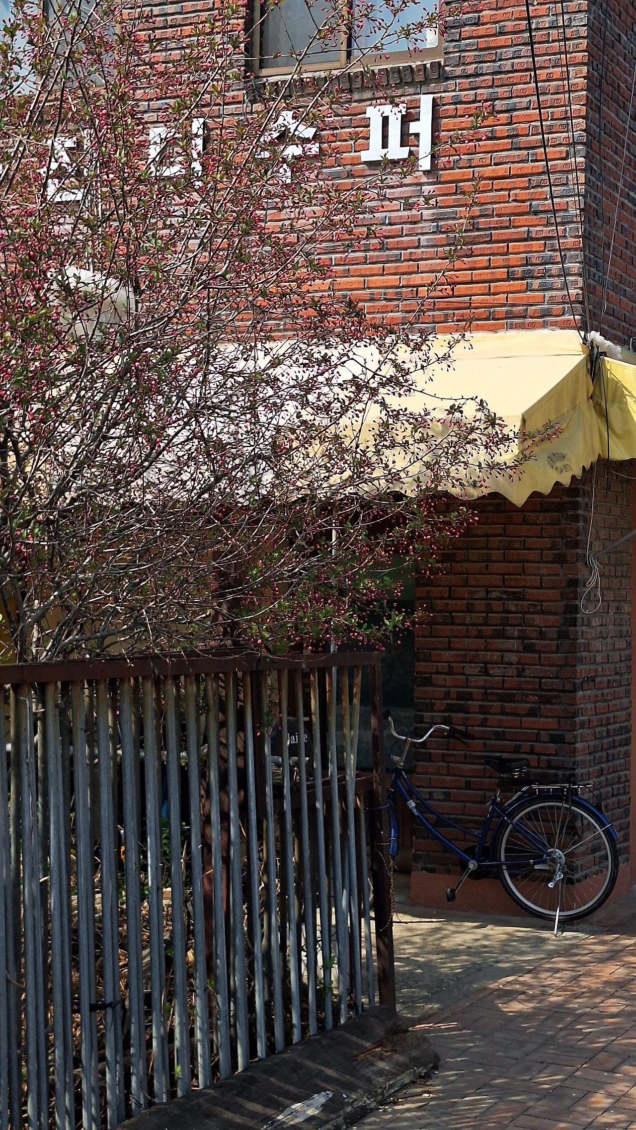 KakaoTalk_Photo_2025-04-11-12-04-13 021.jpeg