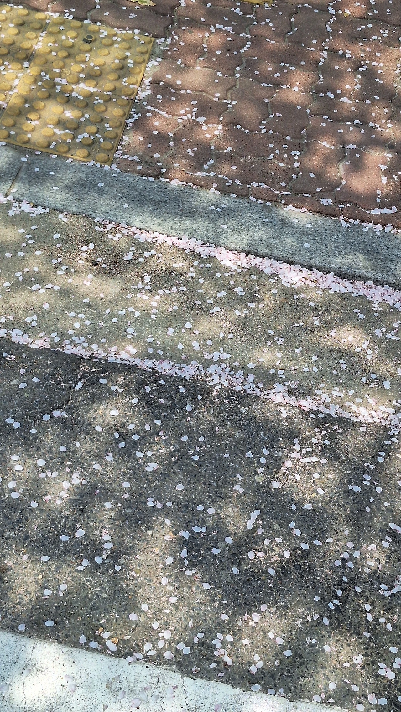 KakaoTalk_Photo_2025-04-11-12-06-21 023.jpeg