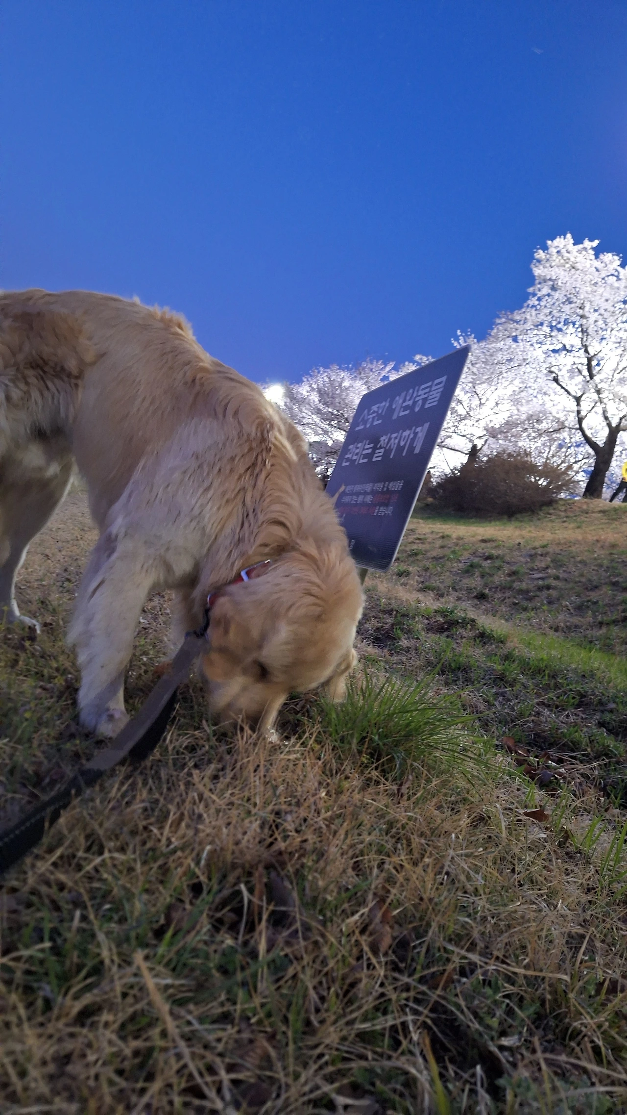 KakaoTalk_Photo_2025-04-11-12-07-11 013.jpeg