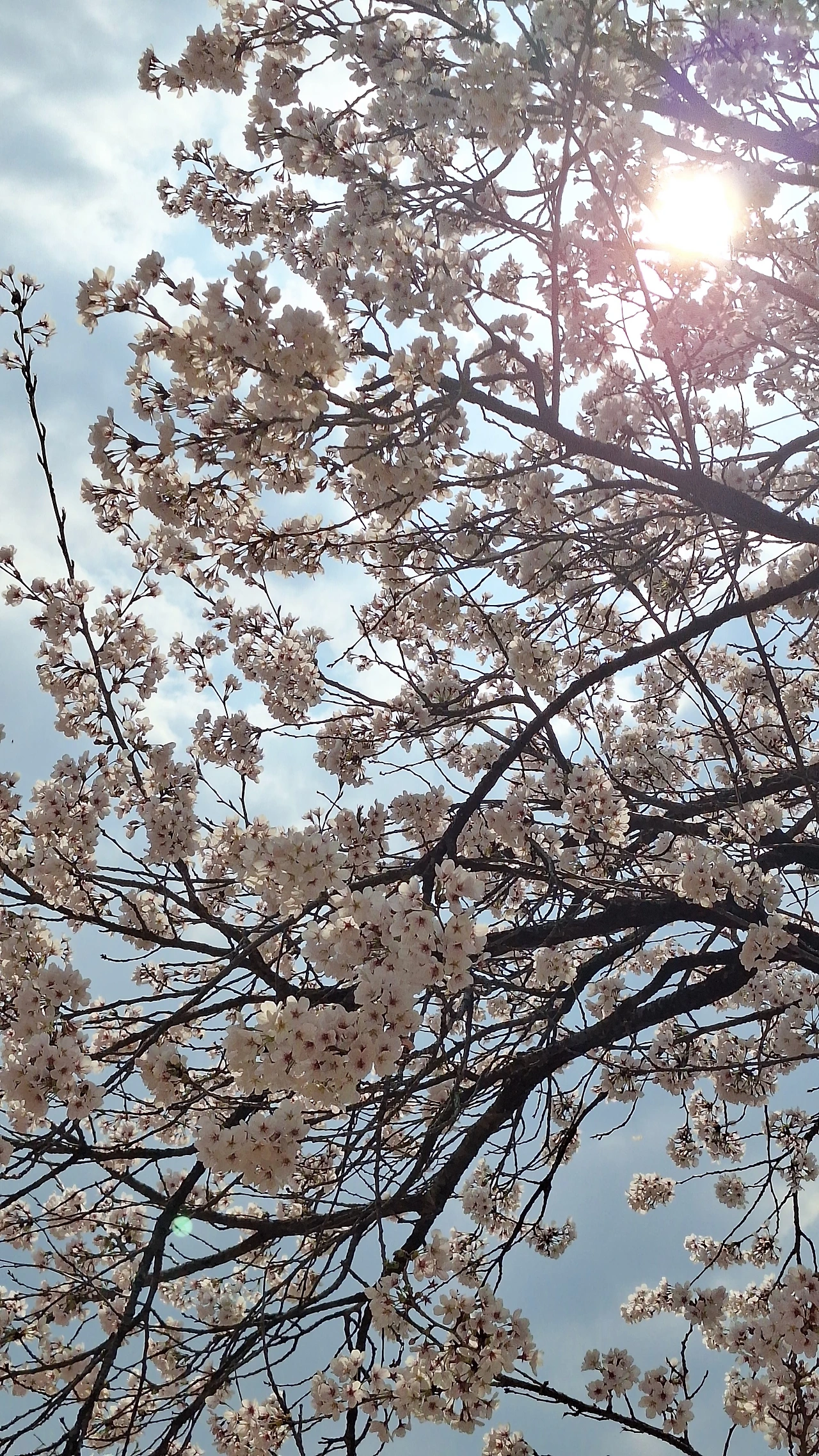 KakaoTalk_Photo_2025-04-11-12-06-54 023.jpeg