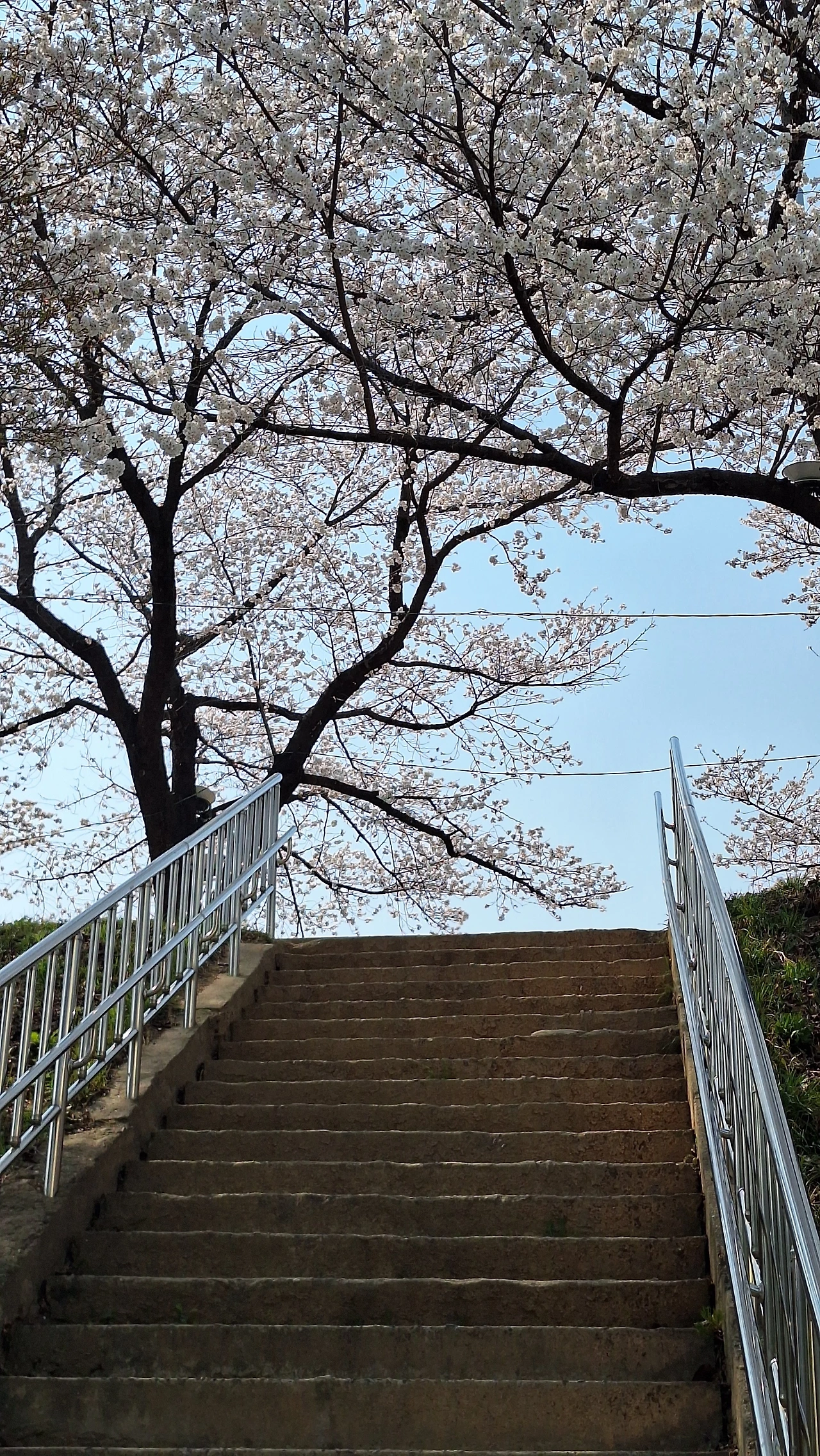 KakaoTalk_Photo_2025-04-11-12-04-13 023.jpeg