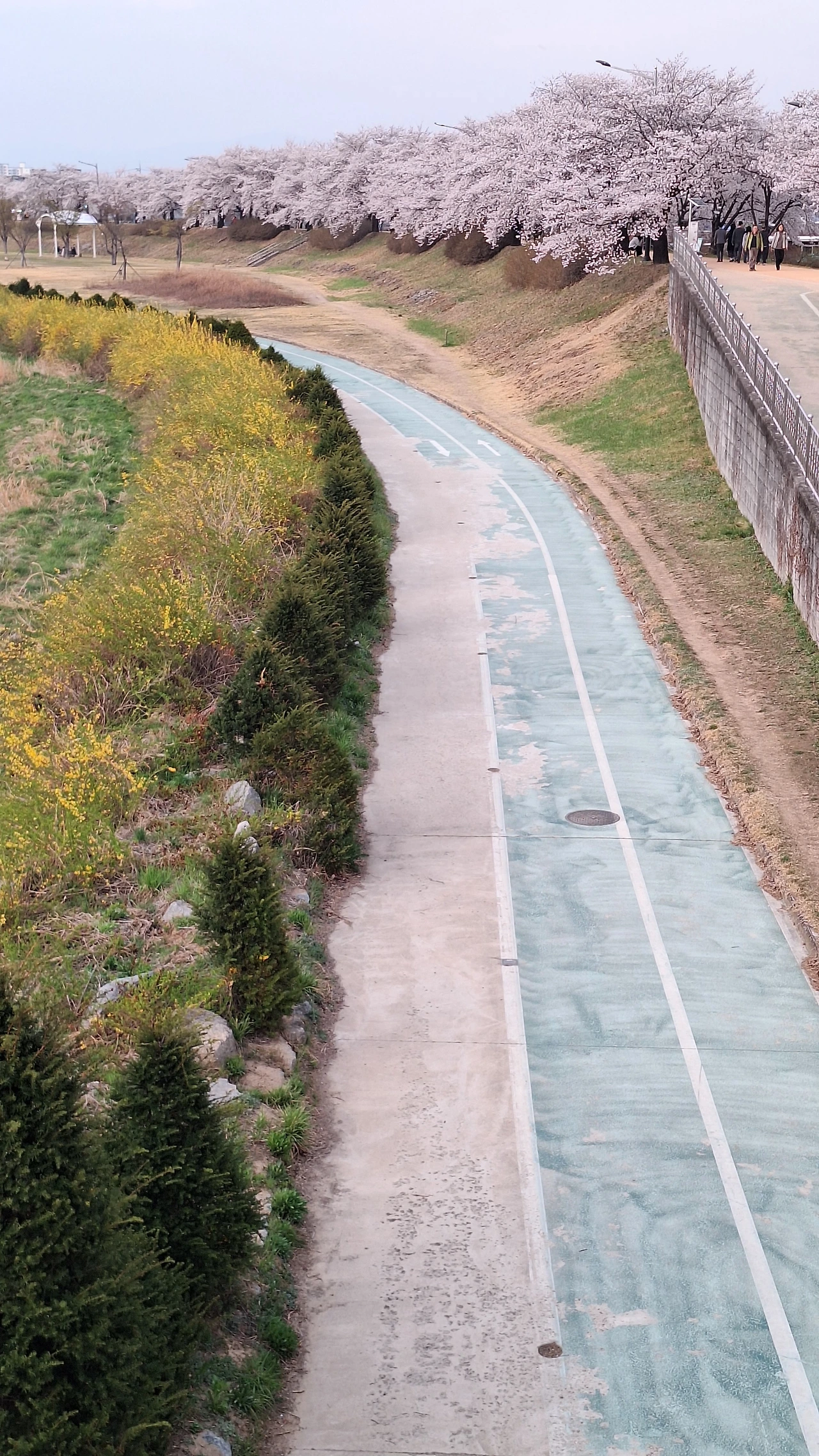 KakaoTalk_Photo_2025-04-11-12-04-39 017.jpeg