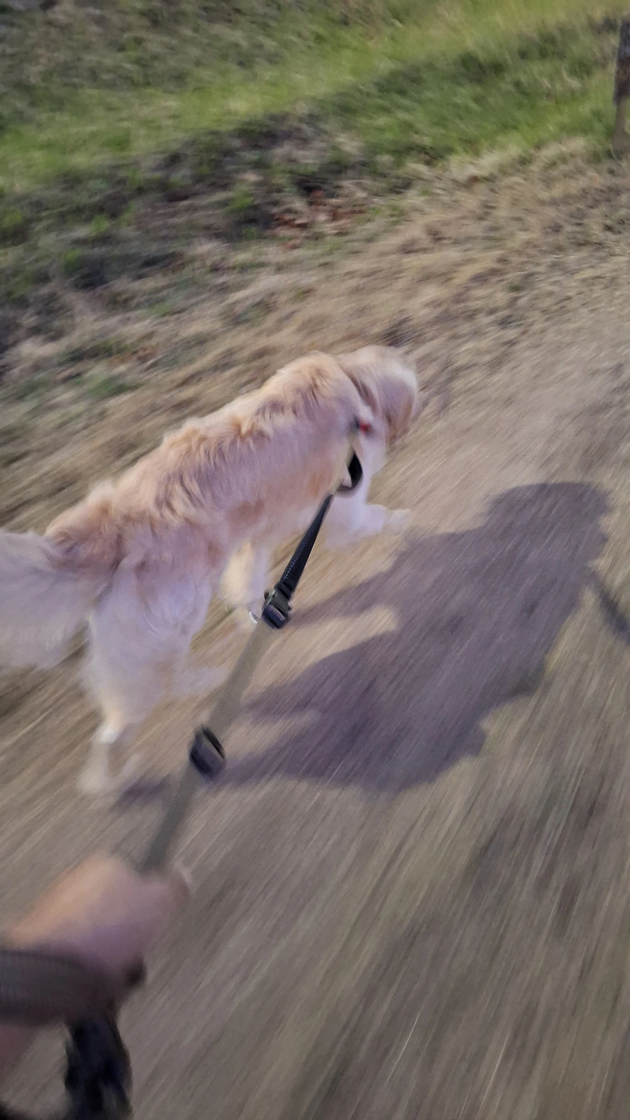 KakaoTalk_Photo_2025-04-11-12-07-10 010.jpeg