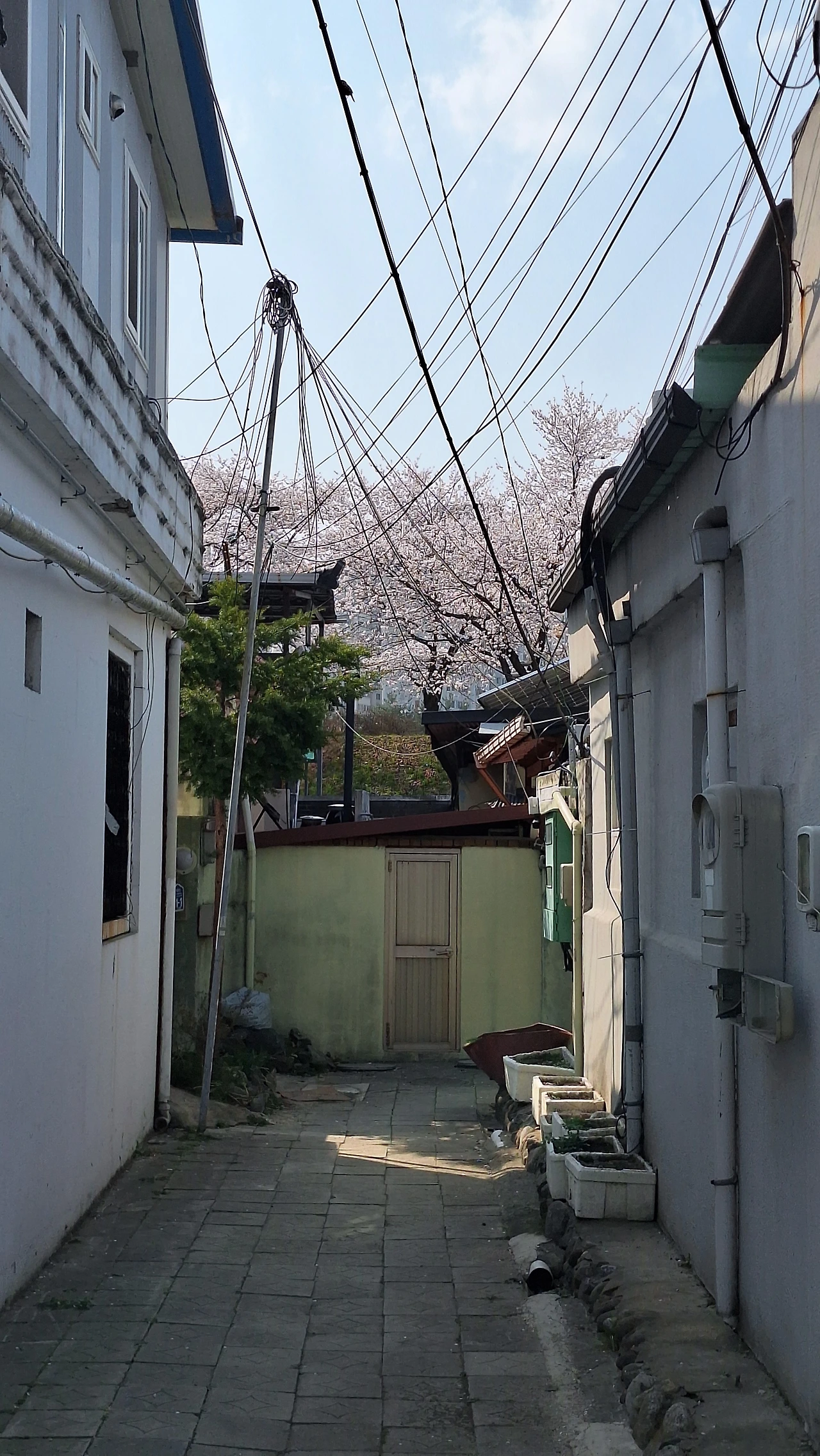 KakaoTalk_Photo_2025-04-11-12-04-12 019.jpeg