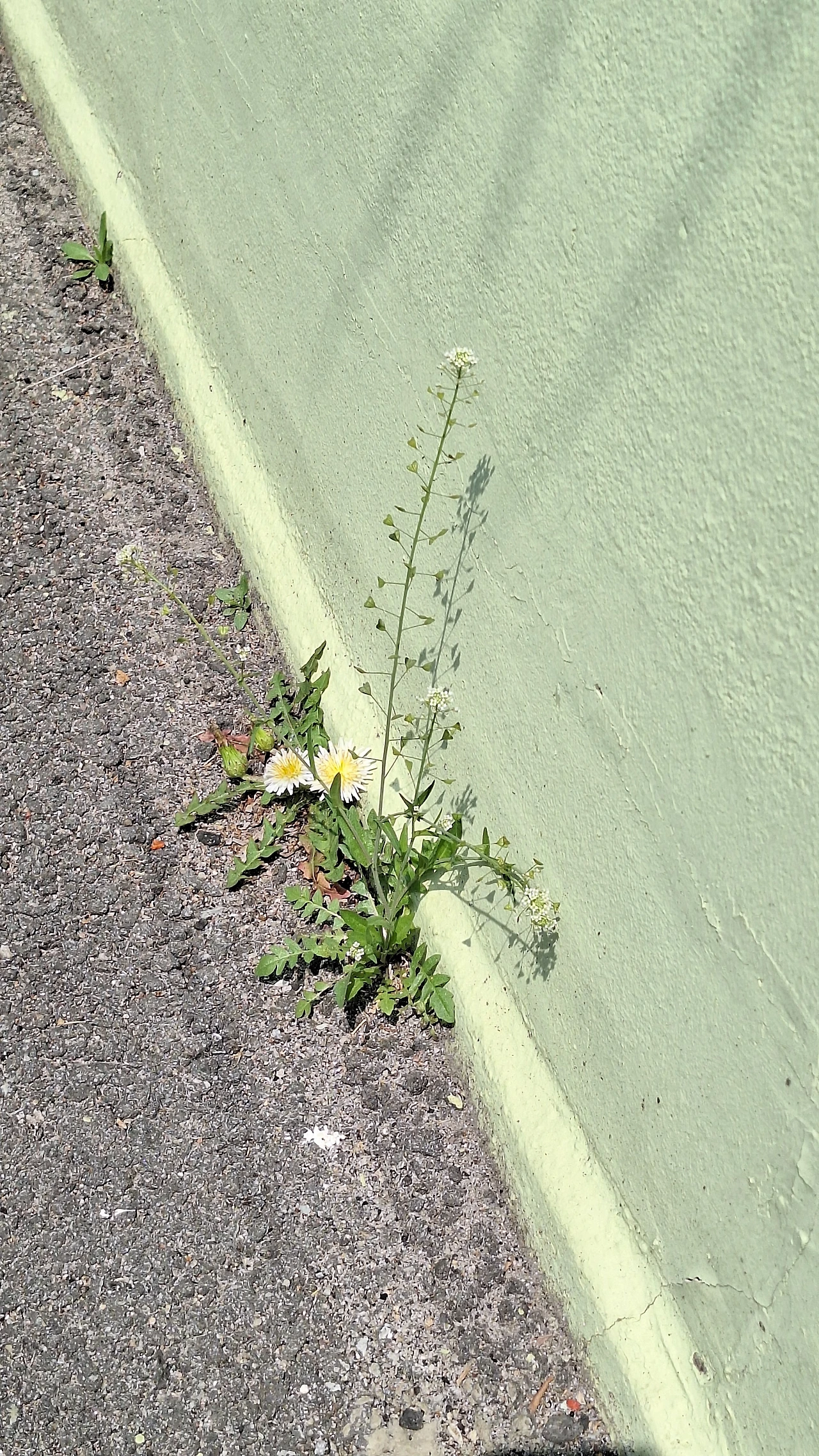 KakaoTalk_Photo_2025-04-11-12-06-22 029.jpeg