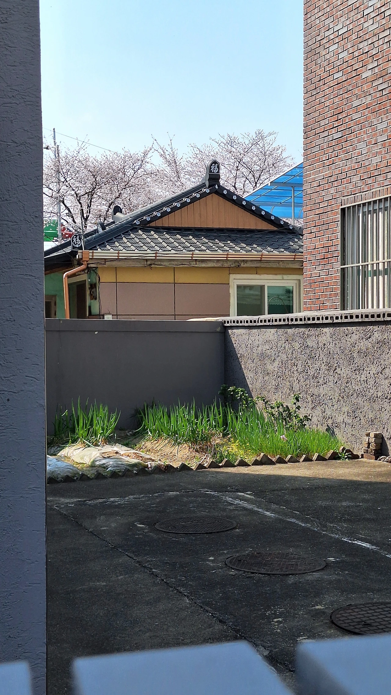 KakaoTalk_Photo_2025-04-11-12-04-36 002.jpeg