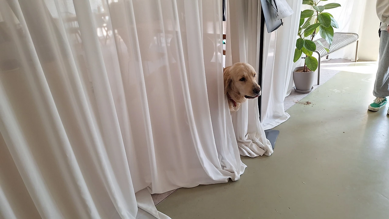 KakaoTalk_Photo_2025-04-11-12-04-37 008.jpeg