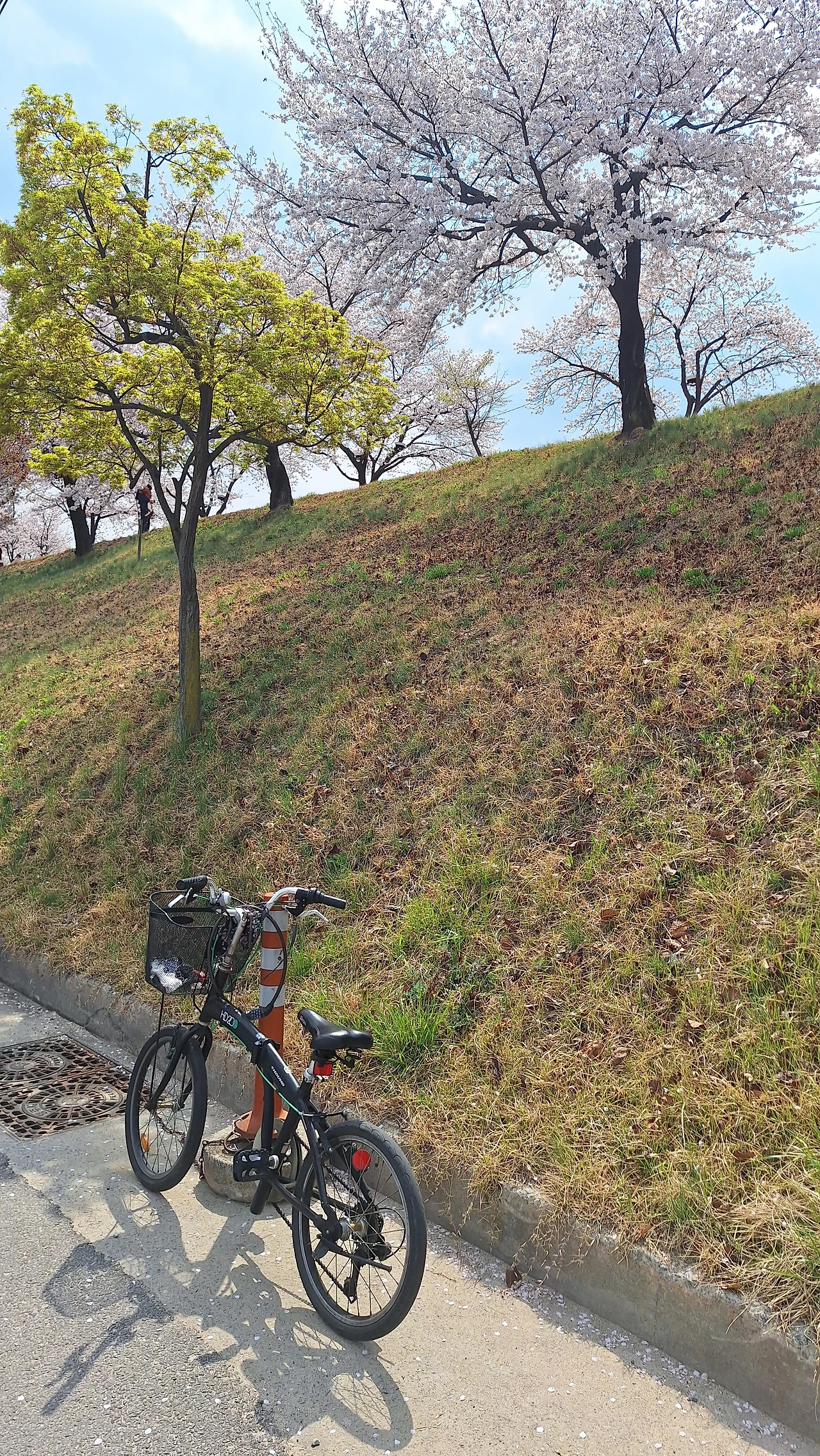 KakaoTalk_Photo_2025-04-11-12-06-53 015.jpeg