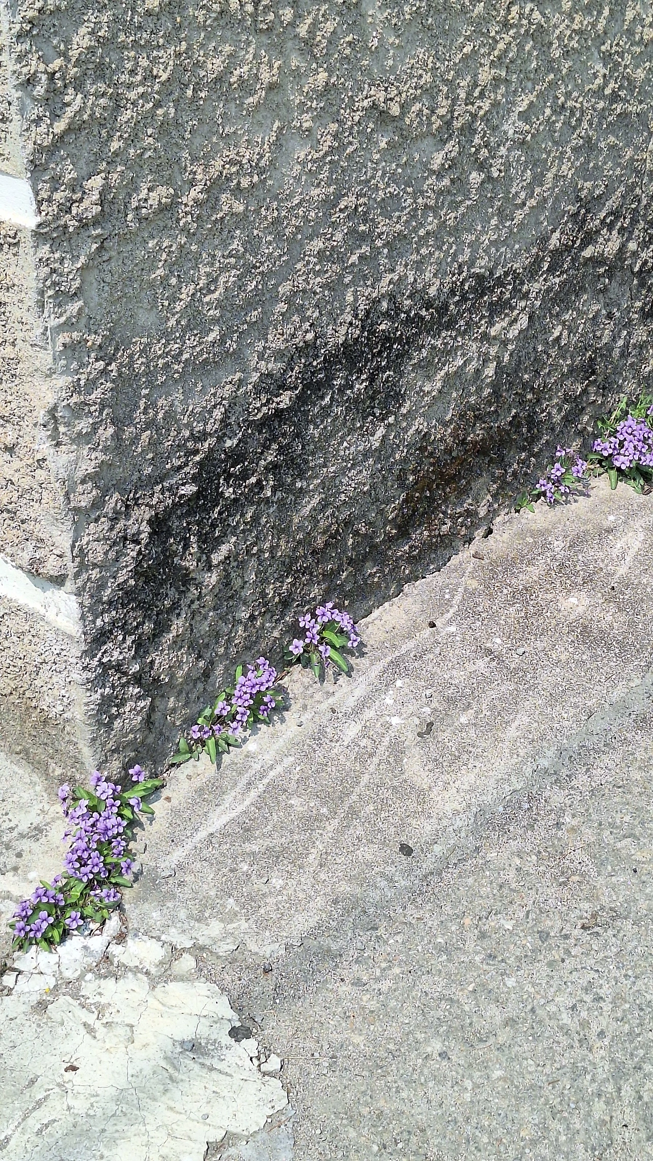 KakaoTalk_Photo_2025-04-11-12-06-23 030.jpeg