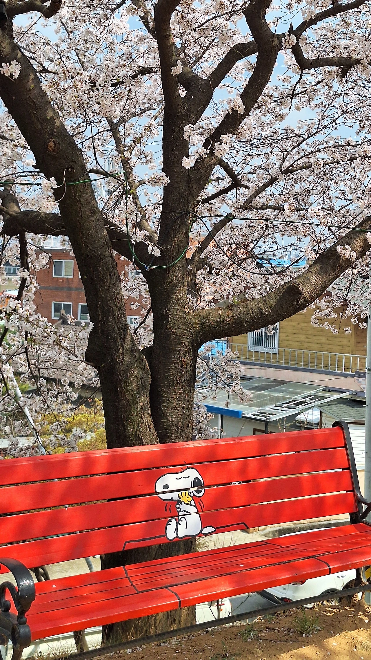 KakaoTalk_Photo_2025-04-11-12-06-54 020.jpeg