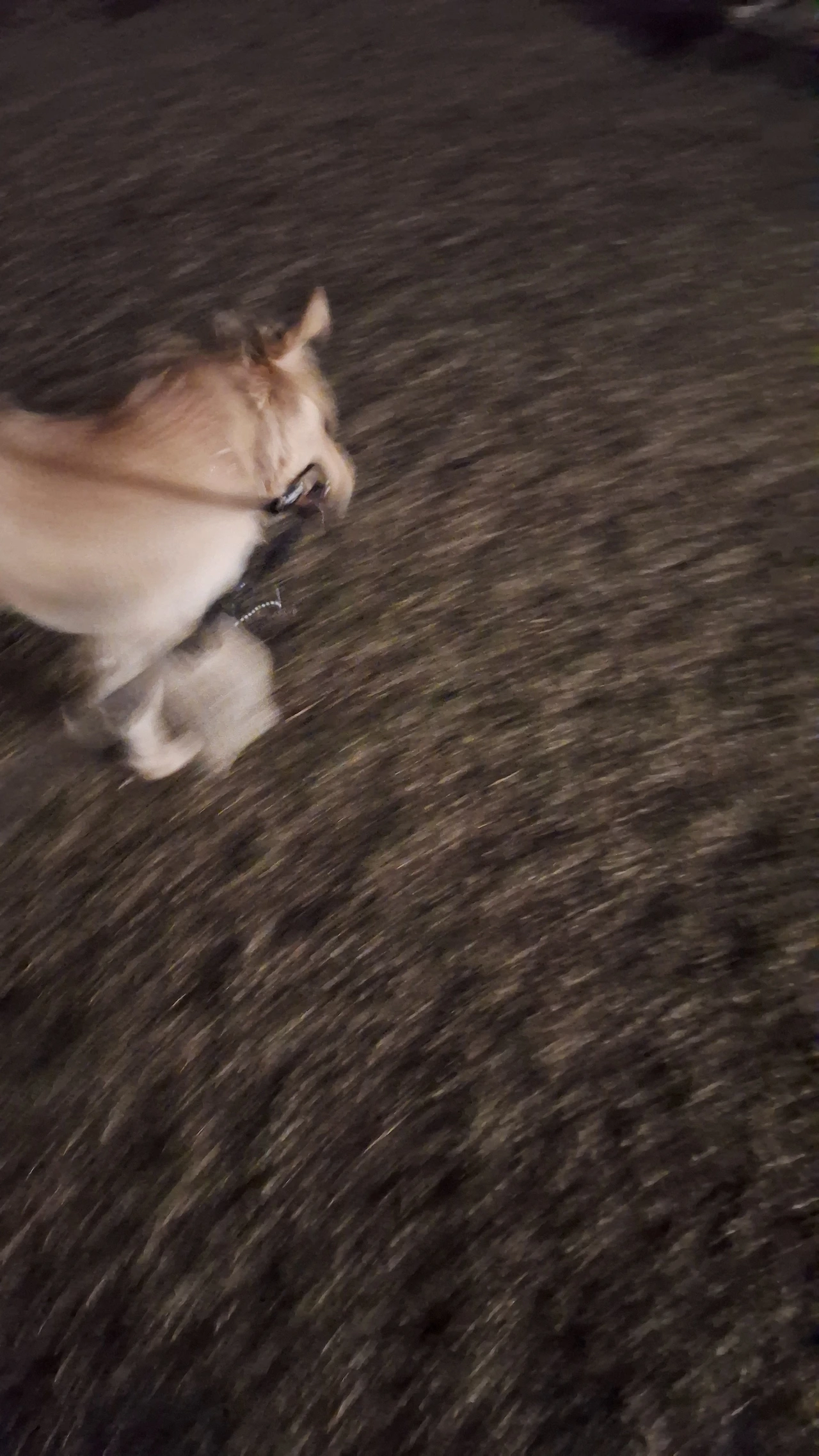 KakaoTalk_Photo_2025-04-14-03-01-20 002.jpeg