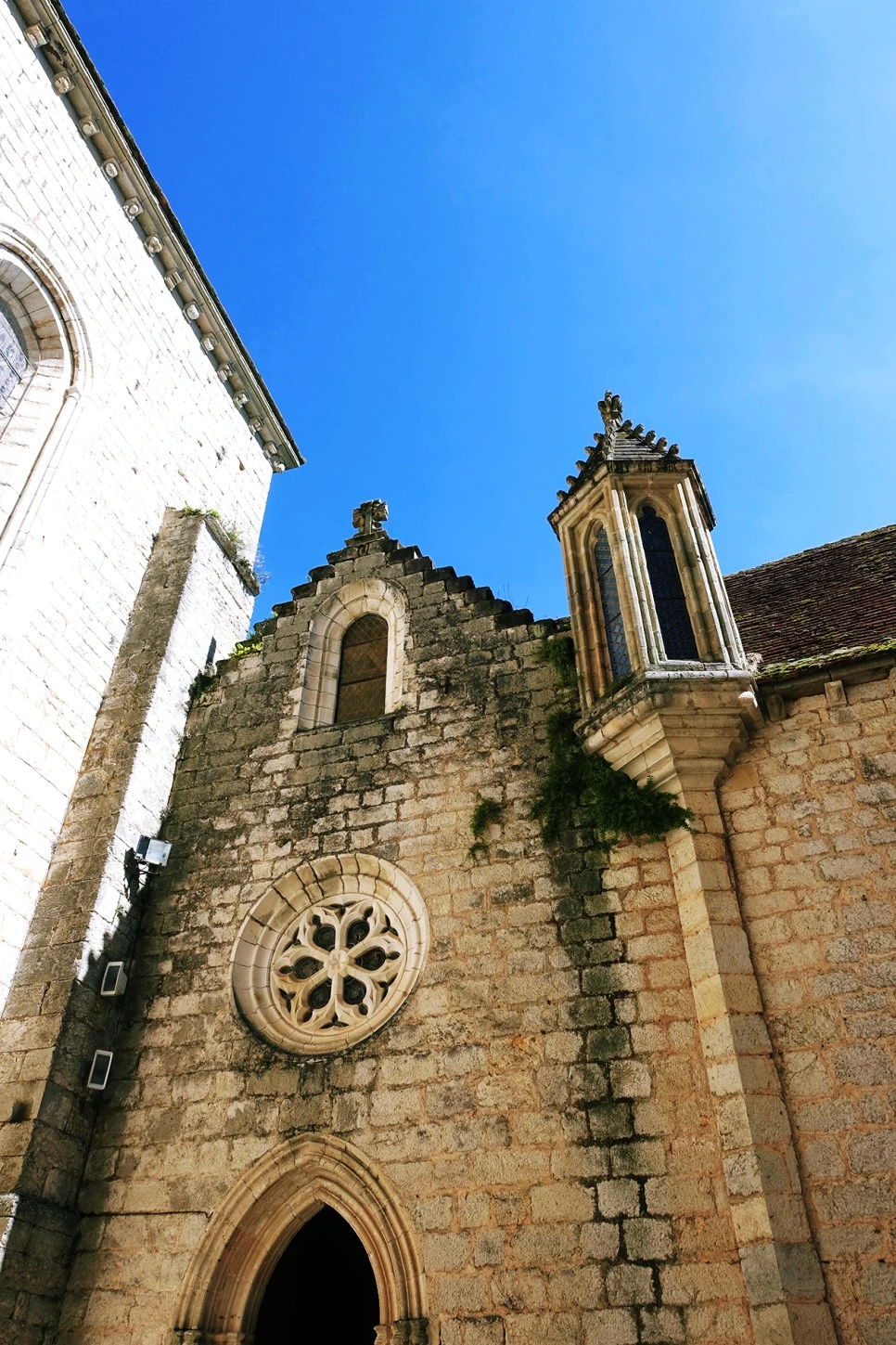 image_2443660571516374121933.jpg?type=w966