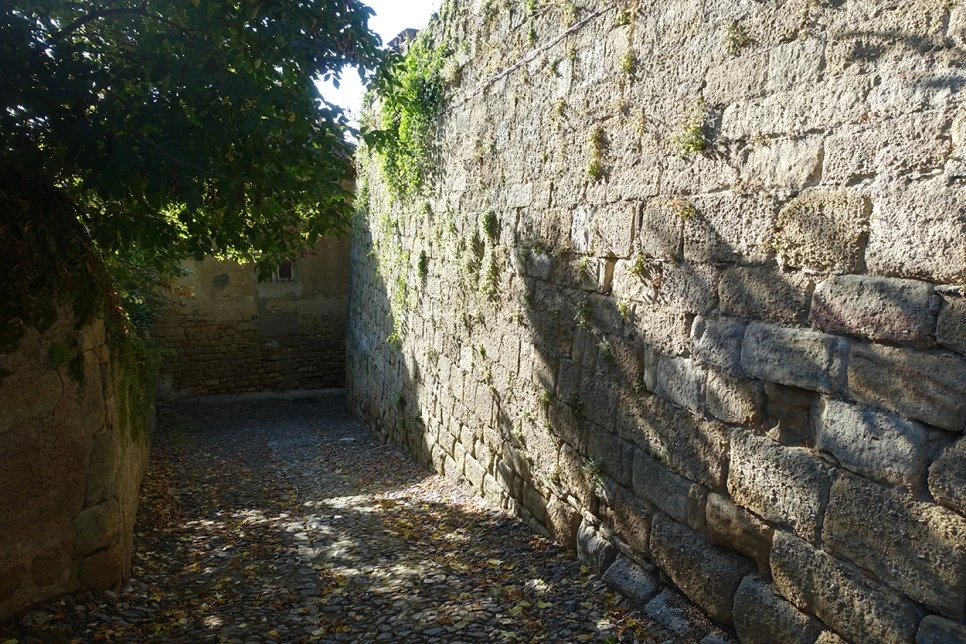 DSC01602.jpg?type=w966