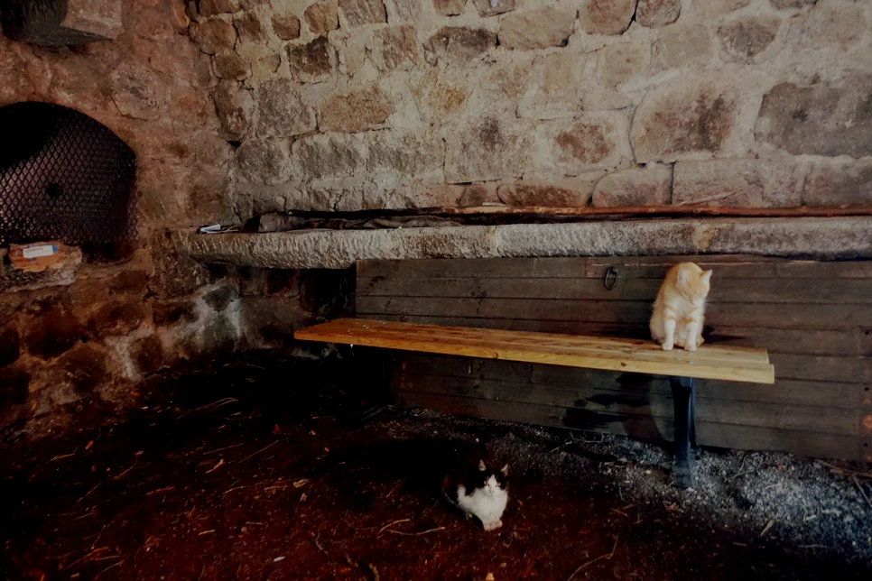 image_912045341515513795720.jpg?type=w966