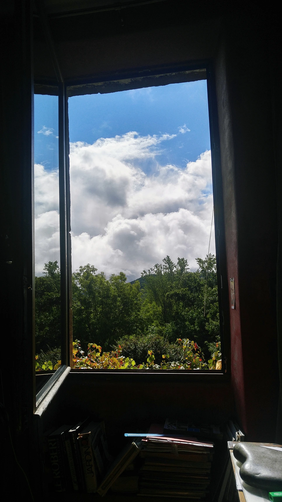 image_5892354351516115377444.jpg?type=w966