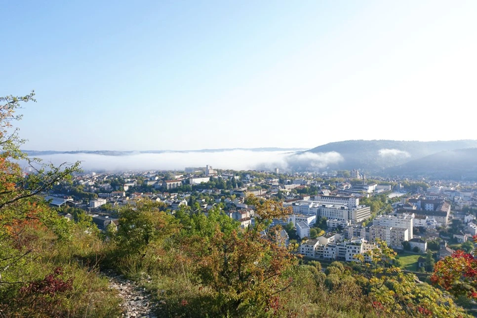 image_9452145601516633970678.jpg?type=w966