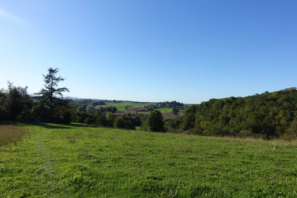 DSC02697.jpg?type=w966