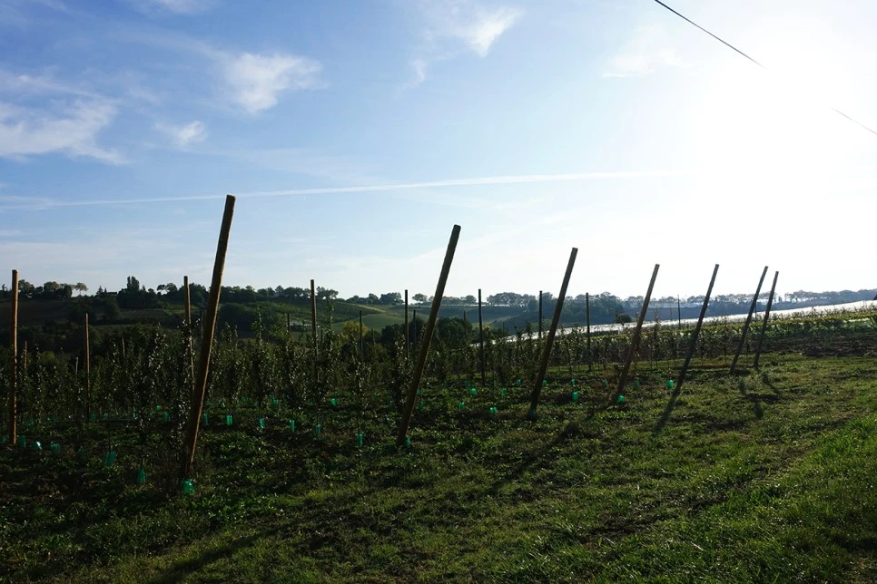 image_8153613881516700233627.jpg?type=w966