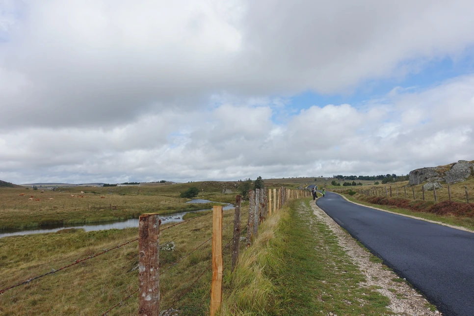 image_3701621271515513870869.jpg?type=w966