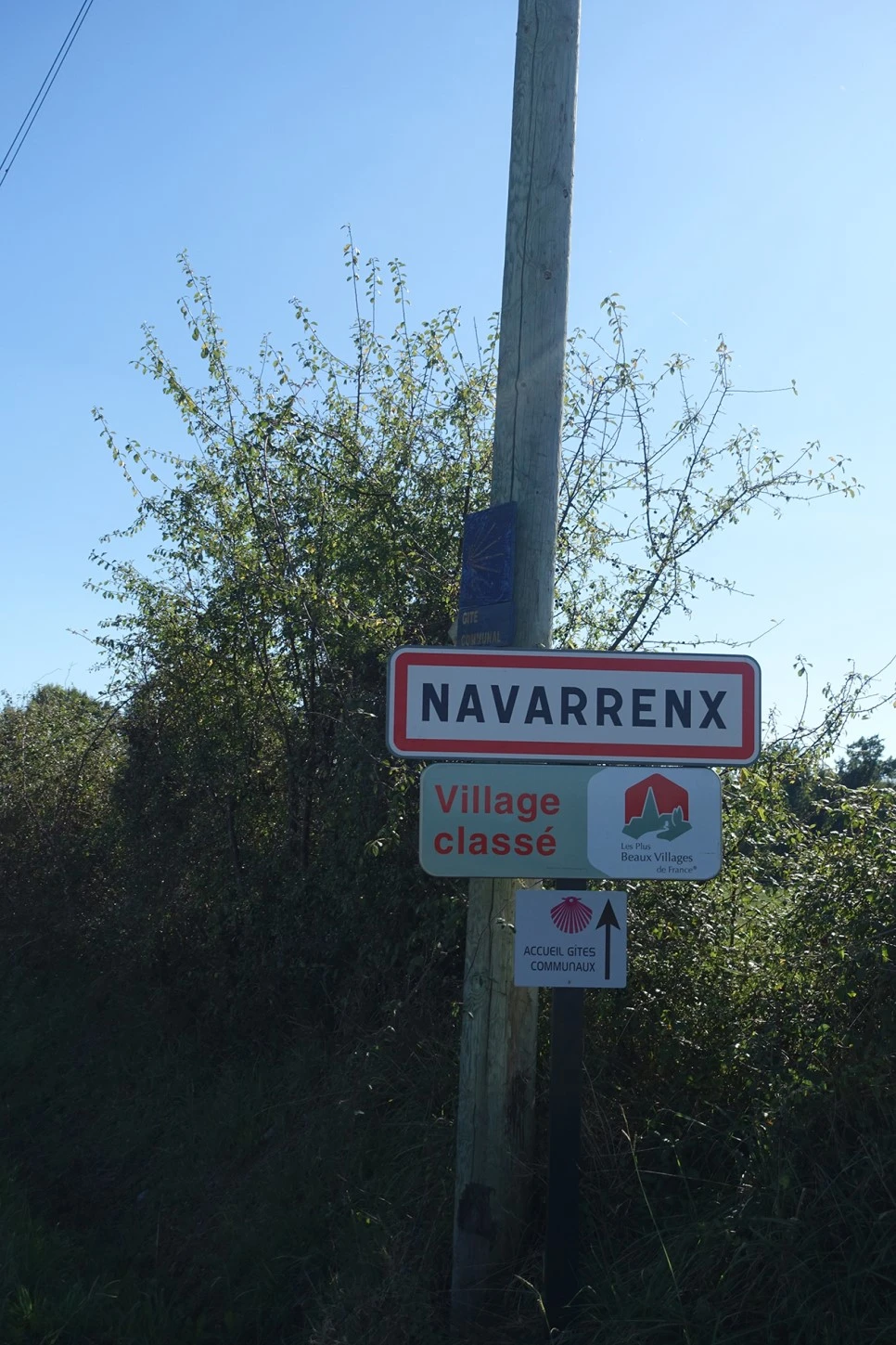 DSC02660.jpg?type=w966