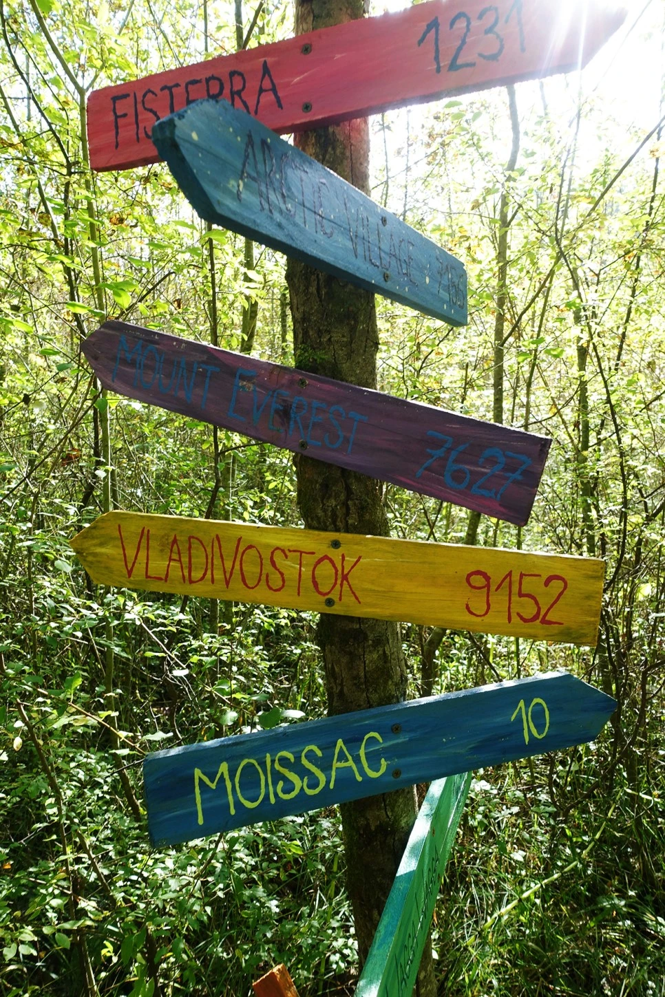 image_804582851516700233600.jpg?type=w966