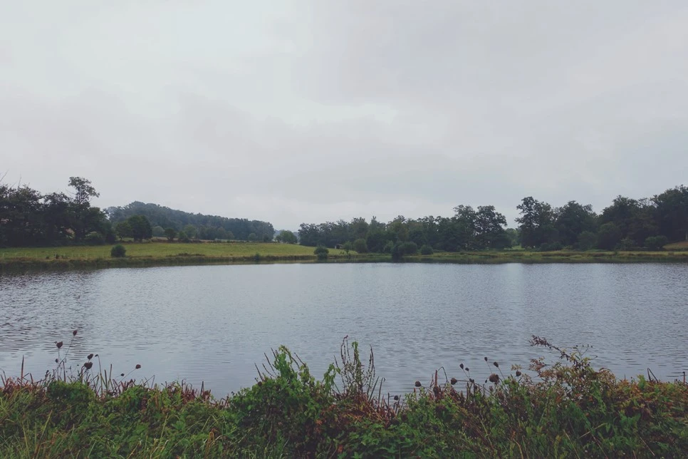 image_6247075871516117305382.jpg?type=w966