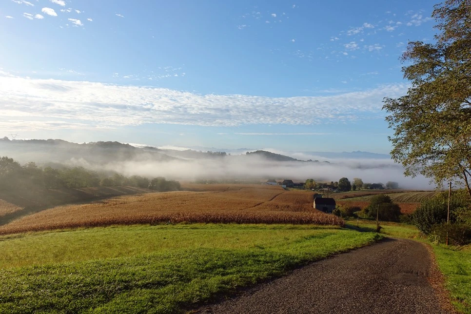 image_2921900951519039608639.jpg?type=w966