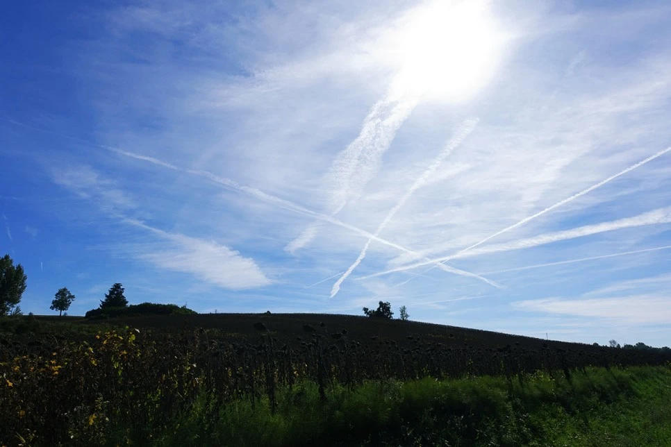 image_2107066211516670262741.jpg?type=w966